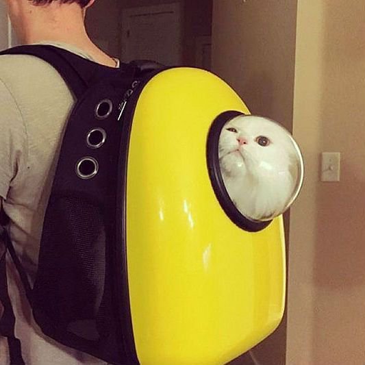 Small Pet Carrier Backpack Astronaut styles - pets backpack - 99fab.com