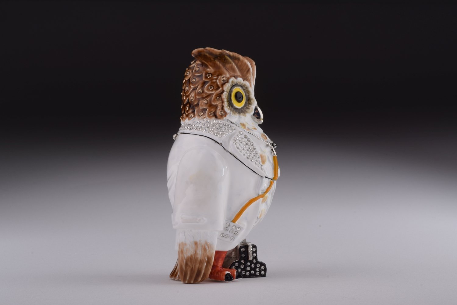 Owl Doctor