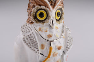 Owl Doctor