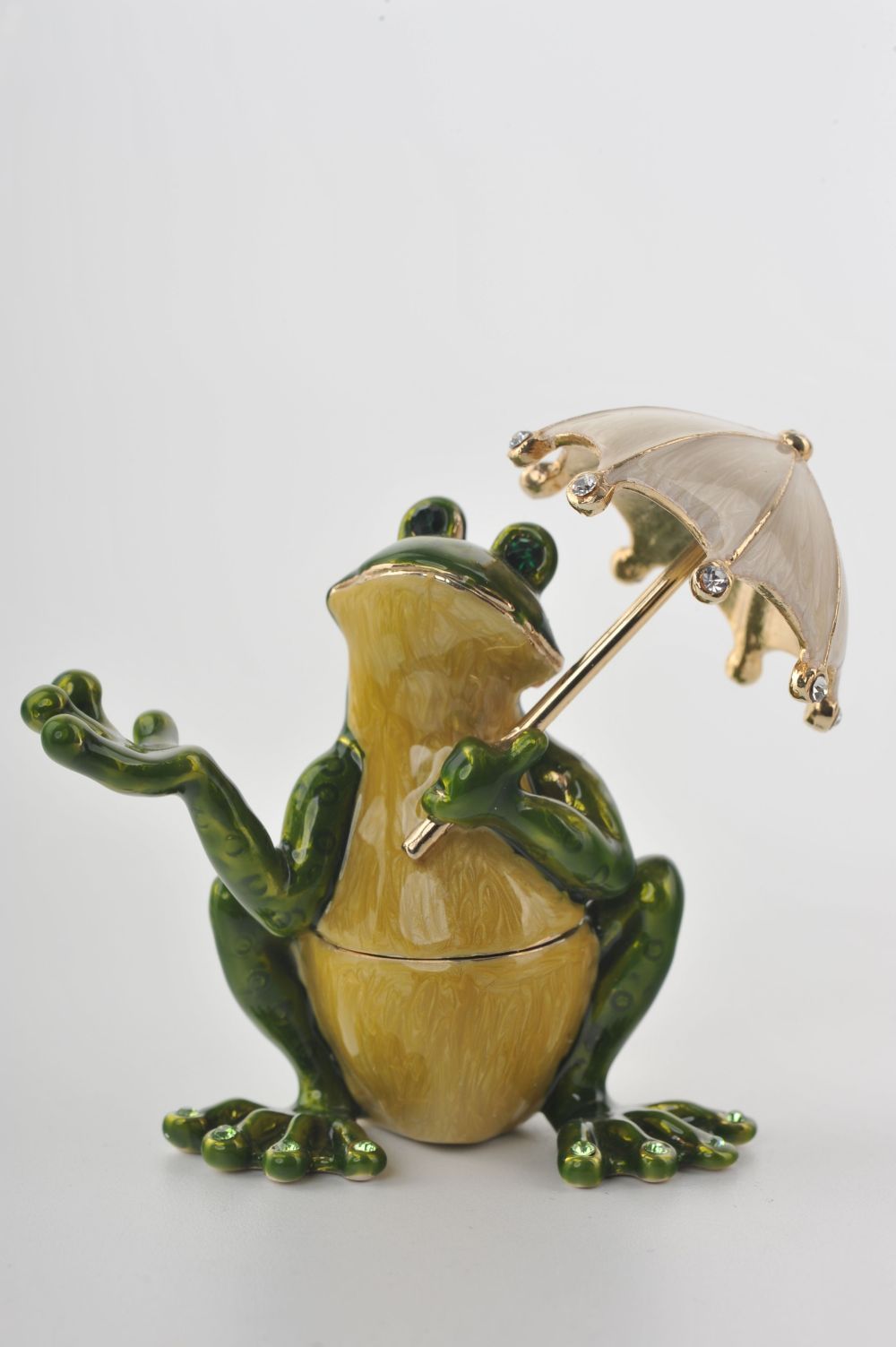 Frog with an Umbrella