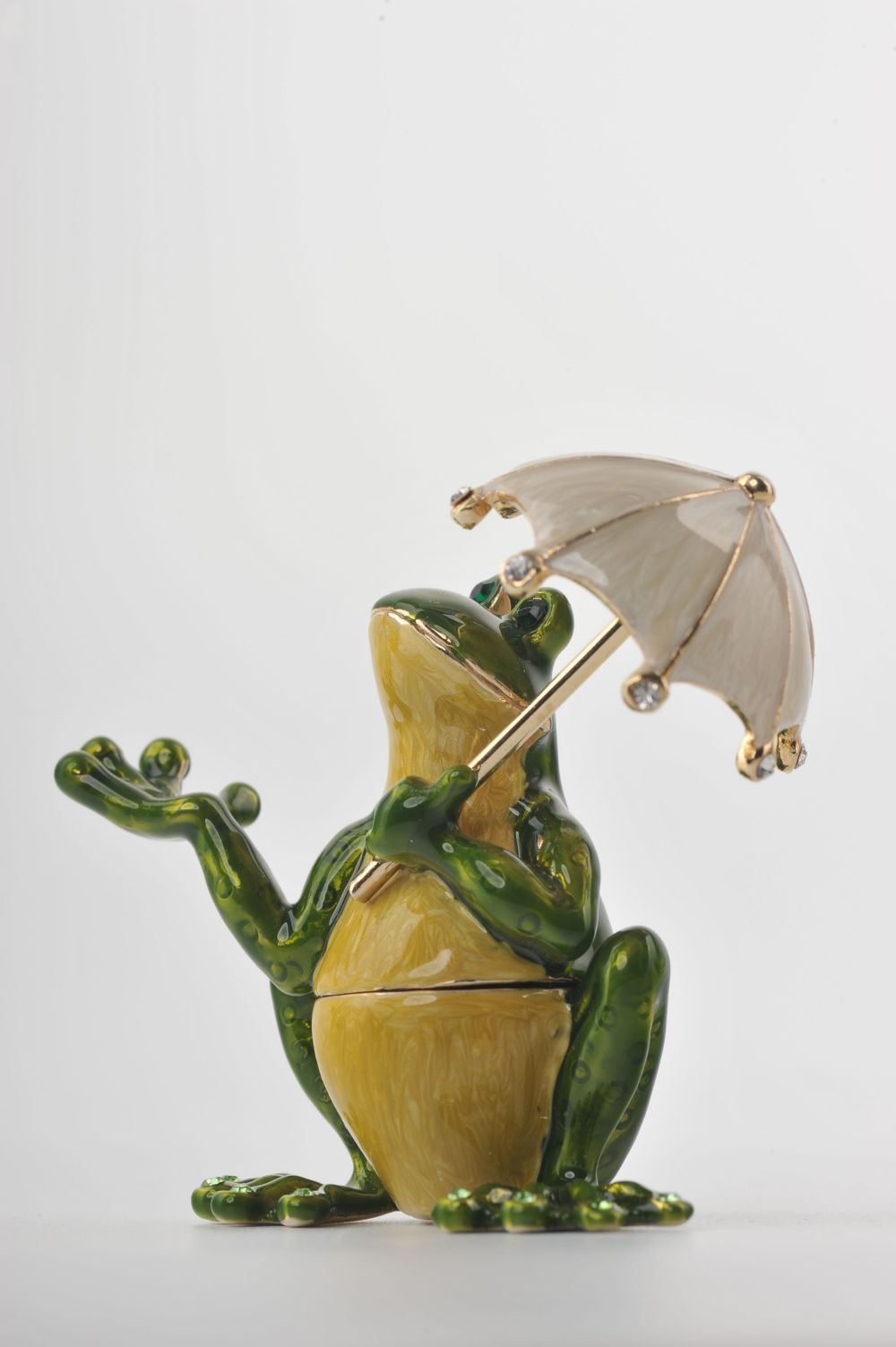 Frog with an Umbrella