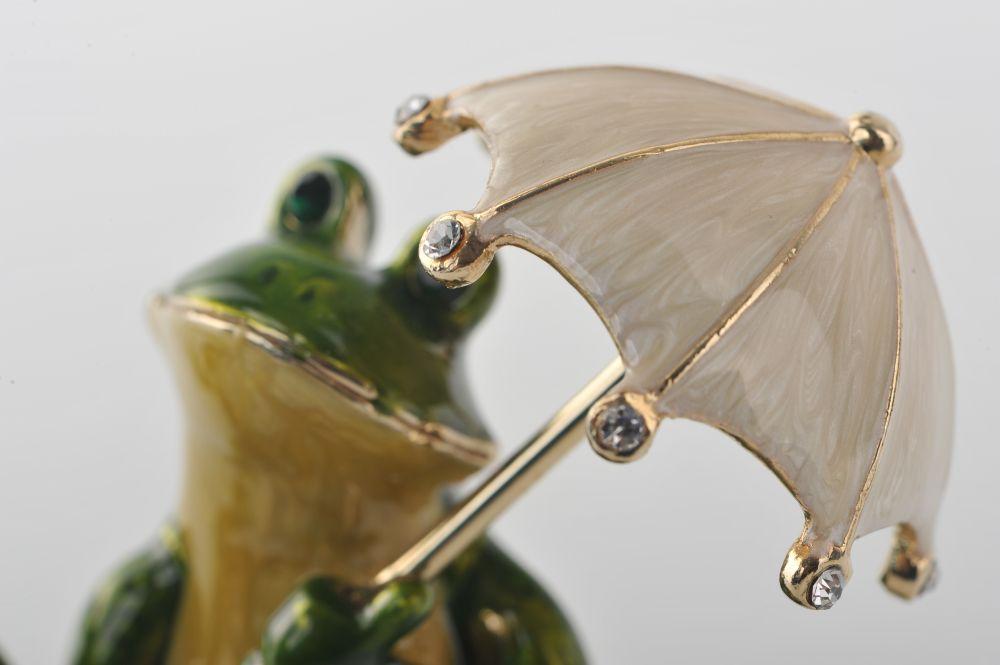 Frog with an Umbrella