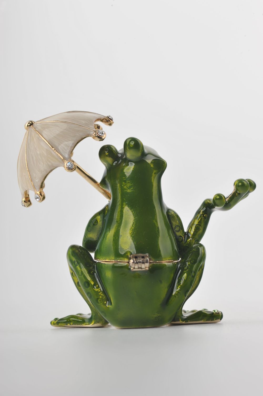 Frog with an Umbrella