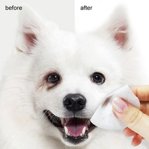 100PCS/Set Pets Dogs Cats Eyes Wet Wipes Tear Stain Remover - pet tear stain remover - 99fab.com