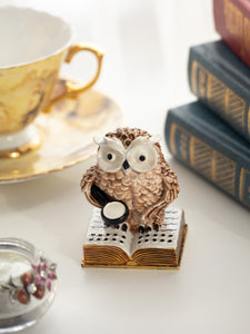 Owl Reading a Book-1