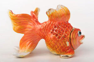 Orange Gold Fish