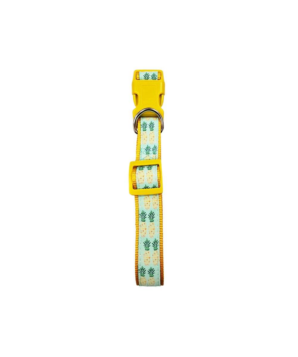 Designer Dog Collar - Pineapple