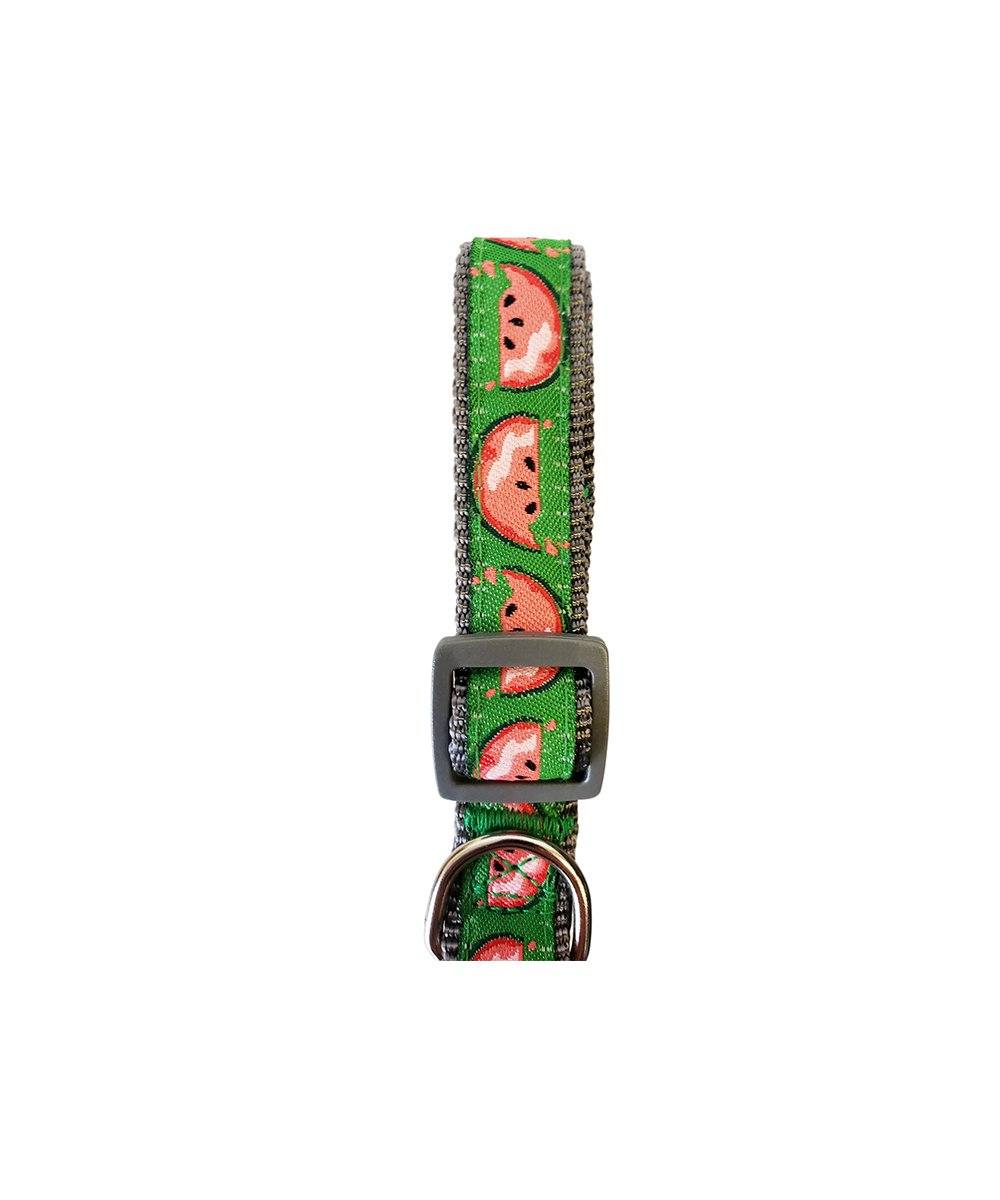 Designer Dog Collar - Watermelon - 99fab 