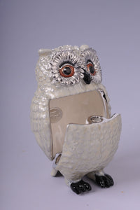 Silver and White Owl-7