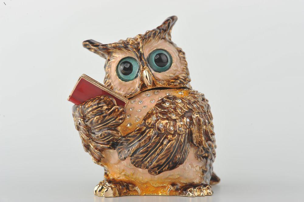 Sophisticated Owl with a Book-1