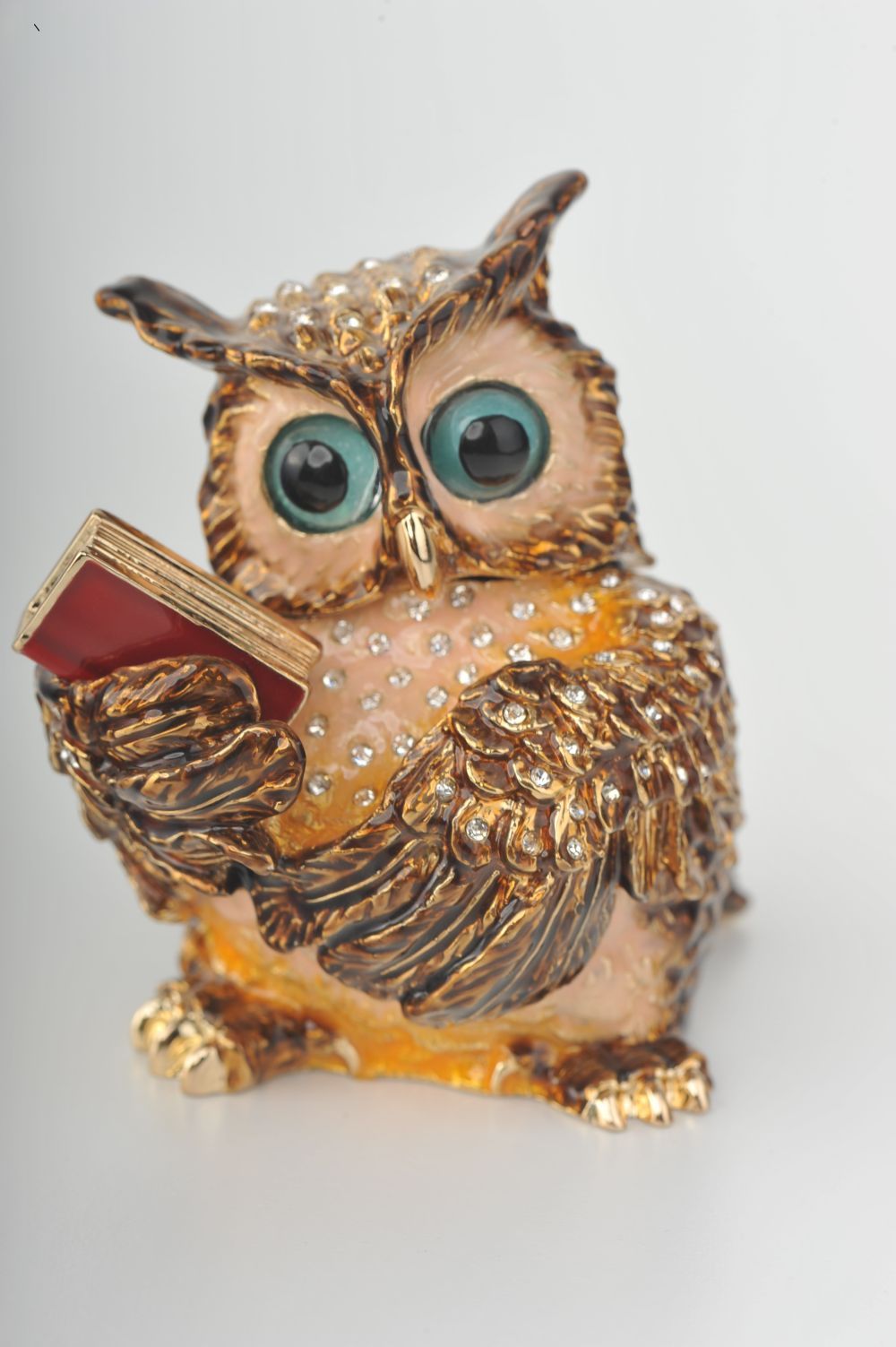 Sophisticated Owl with a Book-2