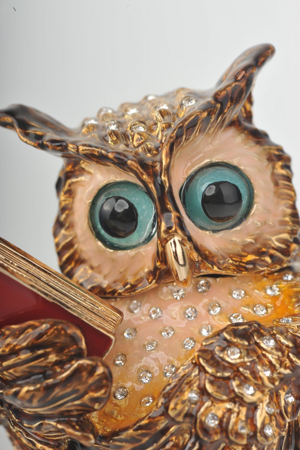 Sophisticated Owl with a Book-3