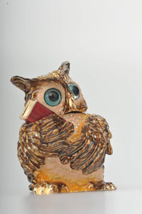 Sophisticated Owl with a Book-4