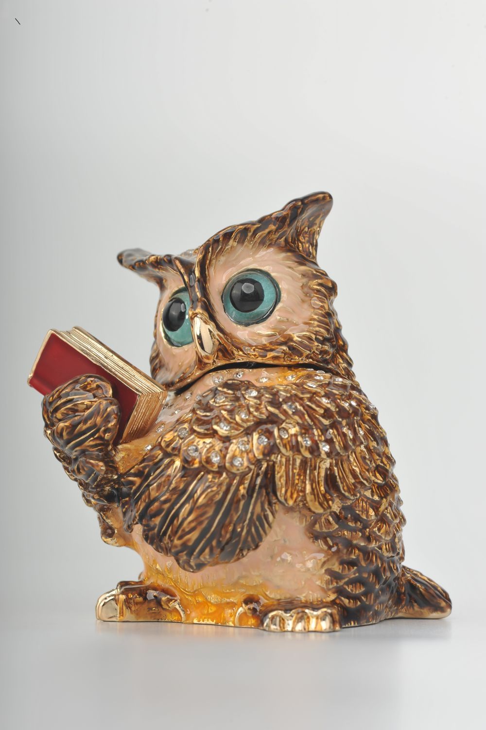 Sophisticated Owl with a Book-7