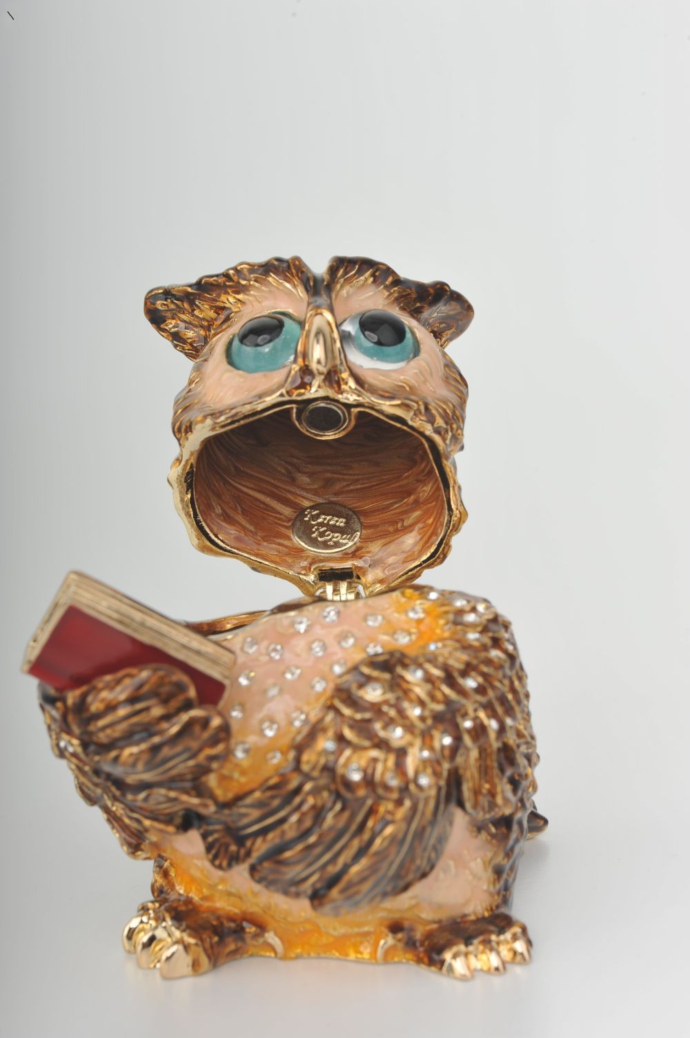 Sophisticated Owl with a Book-12