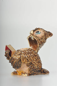 Sophisticated Owl with a Book-13