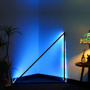 Triangle Floor Lamp