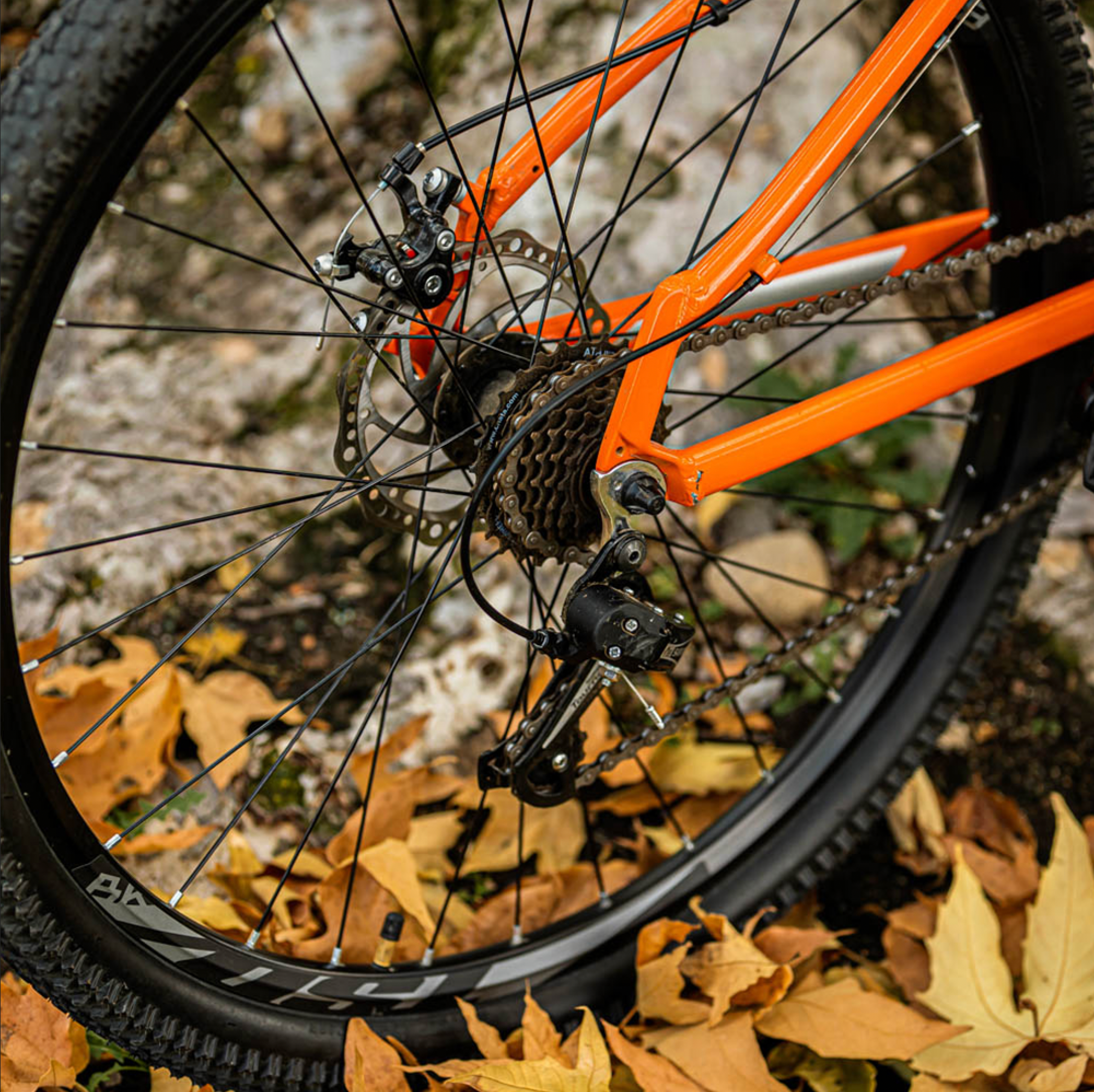 ROCK DOVE Bicycle - Orange