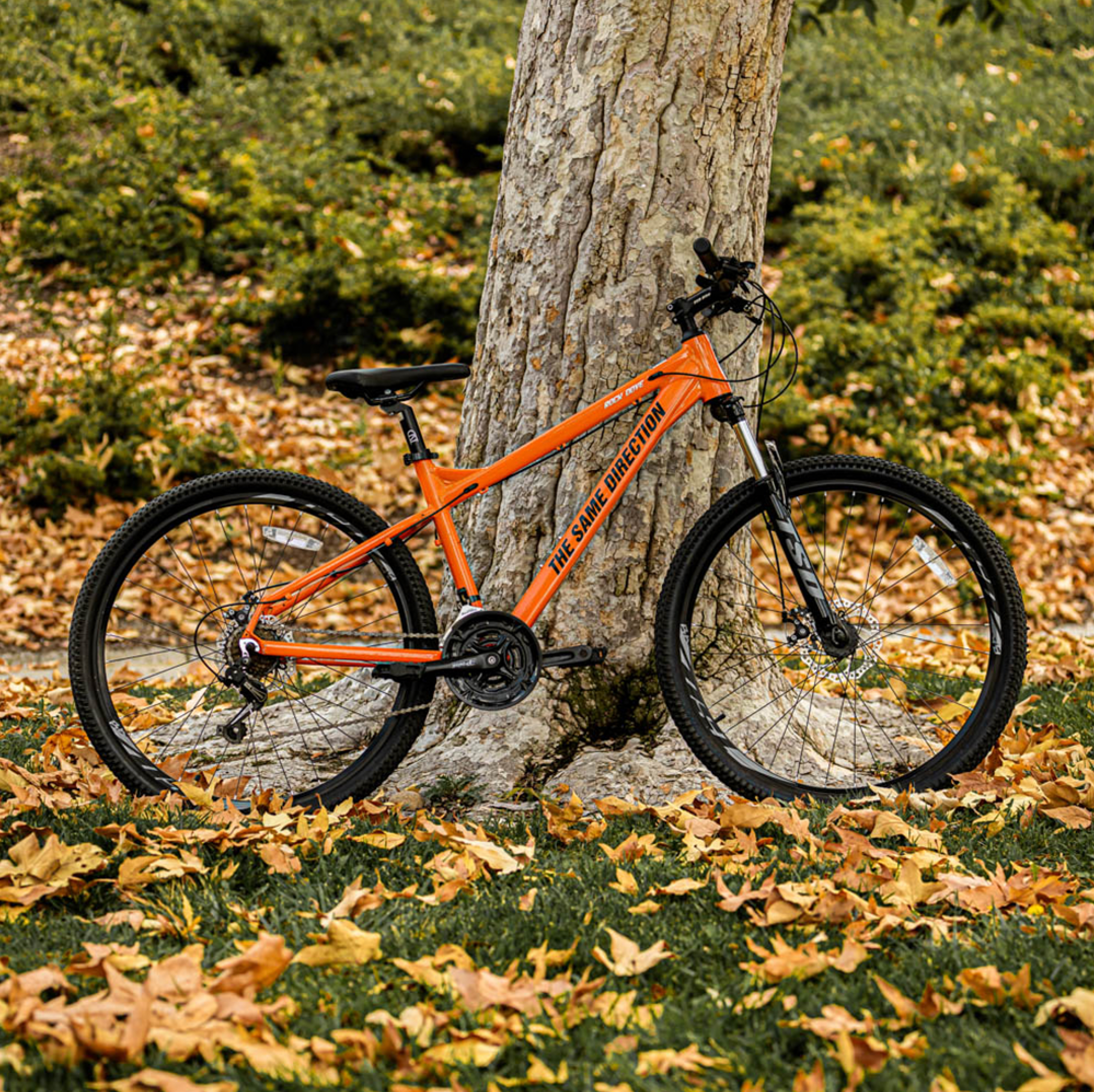 ROCK DOVE Bicycle - Orange