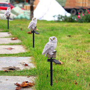 Owl Solar Powered Waterproof IP65 Outdoor Lamps - solar light - 99fab.com