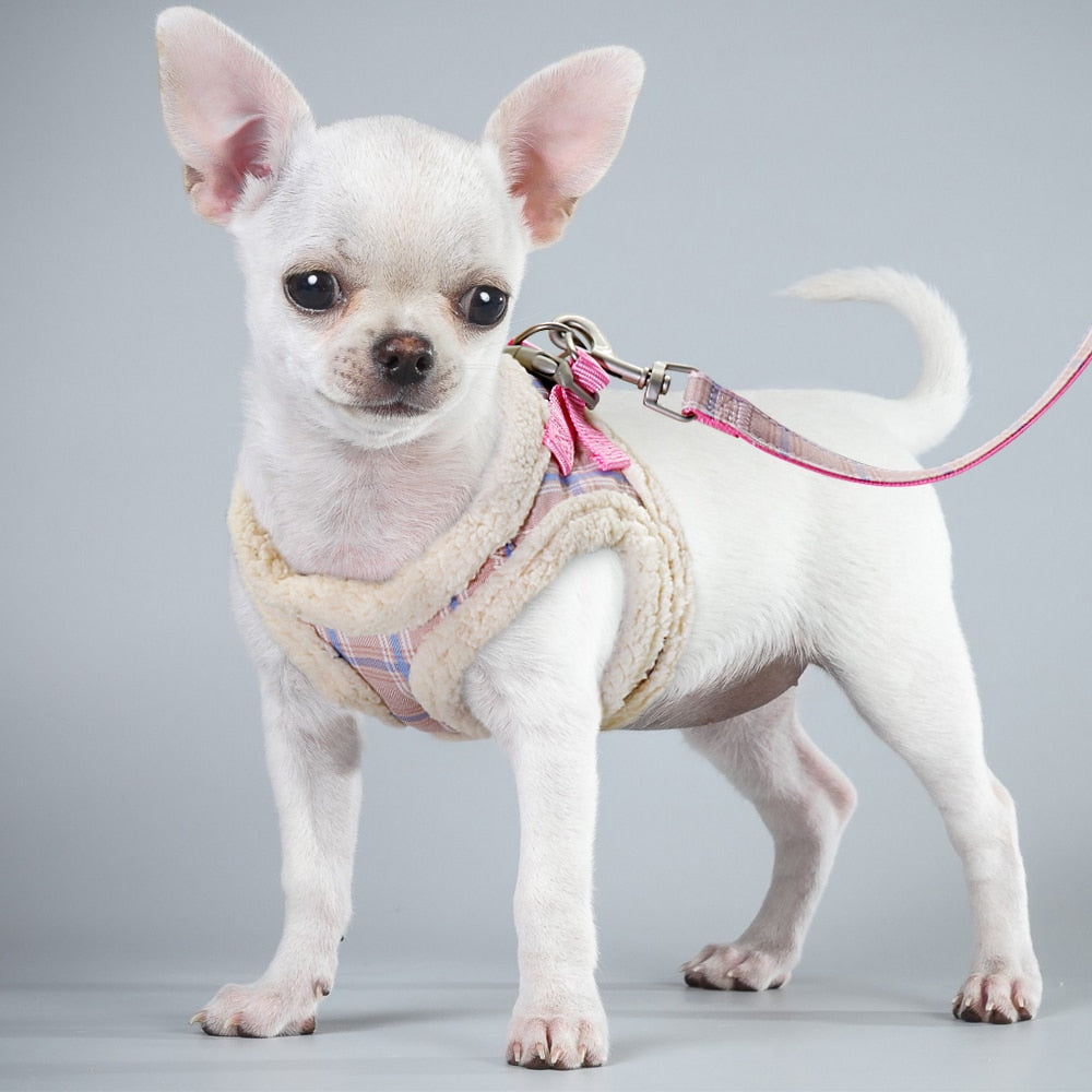 Small Dog Cotton Winter Harness Vest and Leash Set - 99FAB