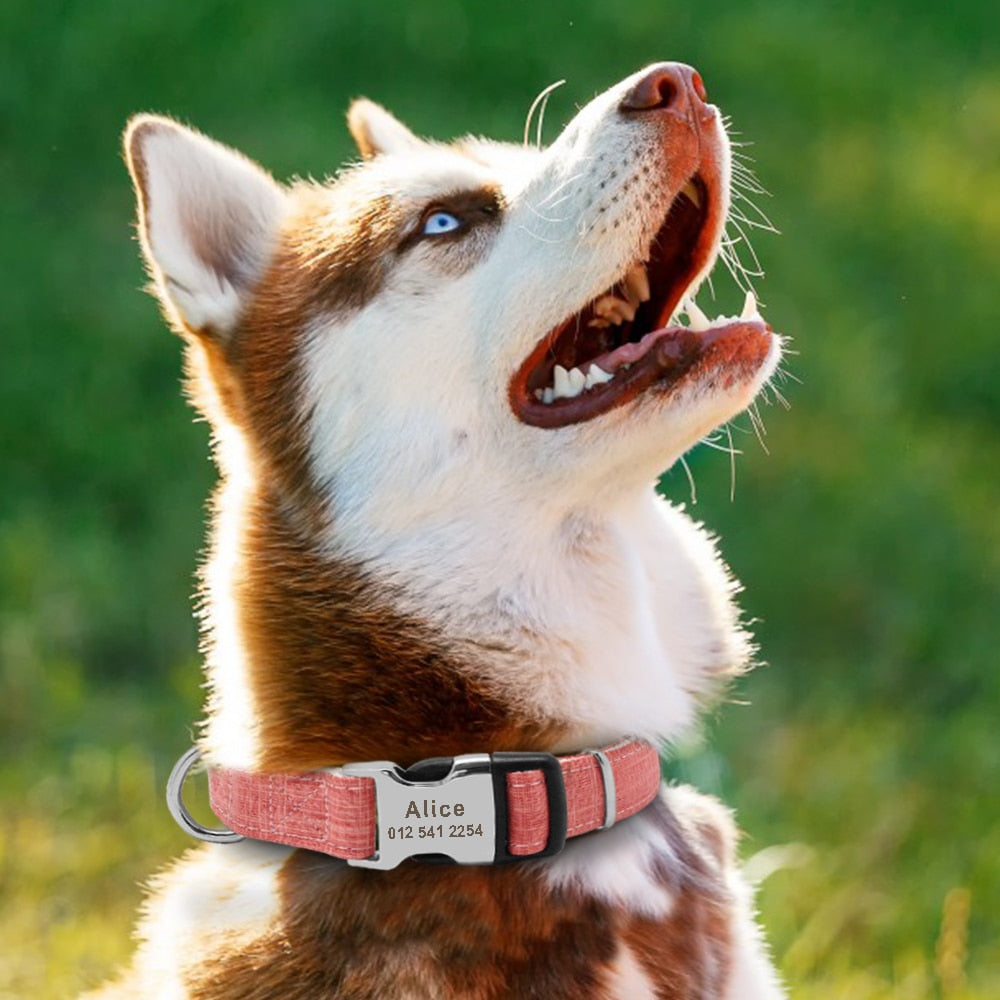 Nylon Personalized Dog Collar Custom Pet Name ID Collar Free Engraving