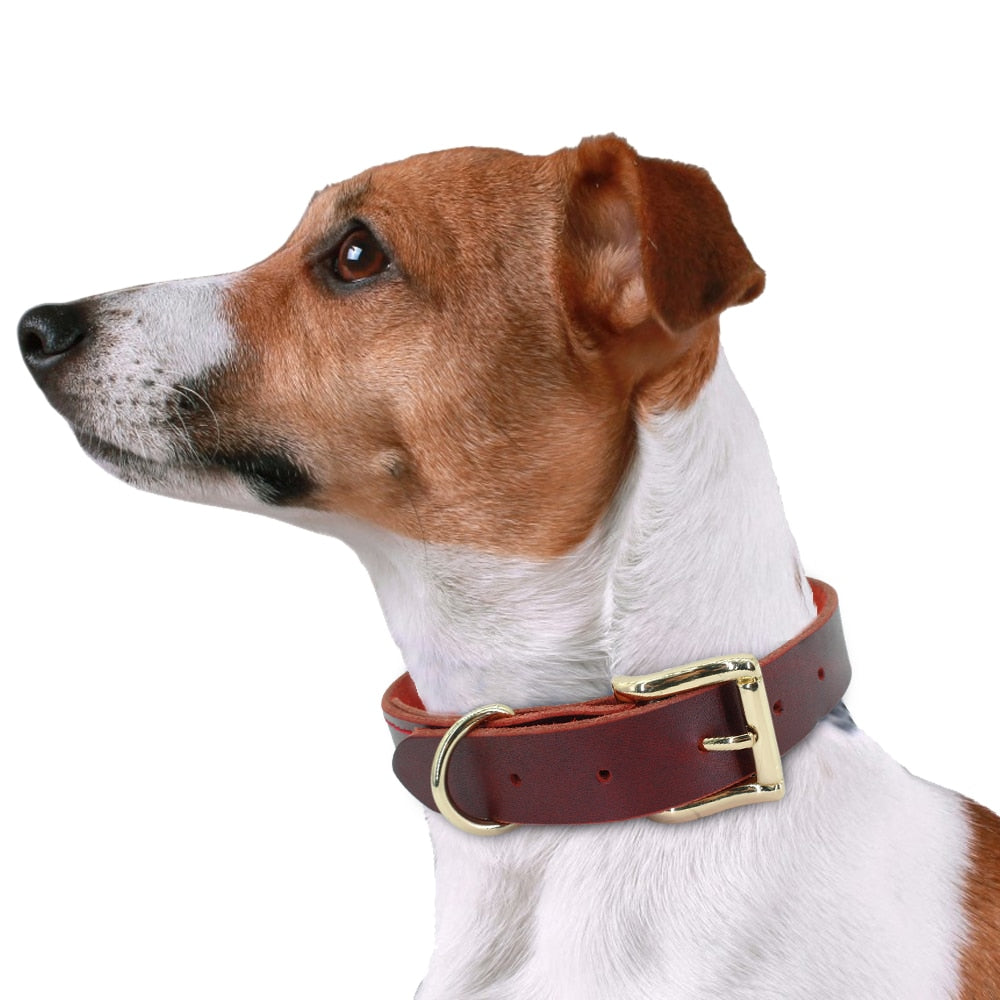 Dog Collar Genuine Leather Pet Collars For Small Medium Large Dogs