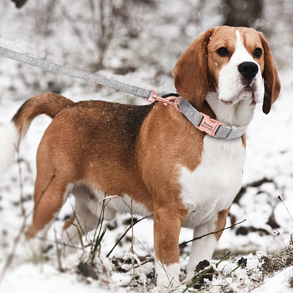 Personalized Adjustable Dog Collar with Leash and Custom Pet Name ID Free Engraving