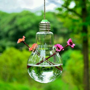 Clear Bulb Shape Glass Hanging Vase Terrarium Hydroponic - decor - 99fab.com