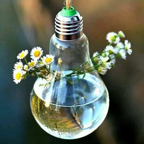 Clear Bulb Shape Glass Hanging Vase Terrarium Hydroponic - decor - 99fab.com