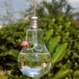 Clear Bulb Shape Glass Hanging Vase Terrarium Hydroponic - decor - 99fab.com