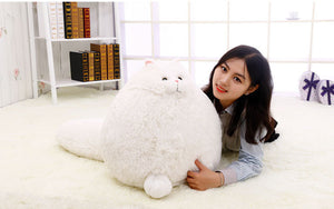 Lovely Simulation Persian Cat Plush - decor - 99fab.com