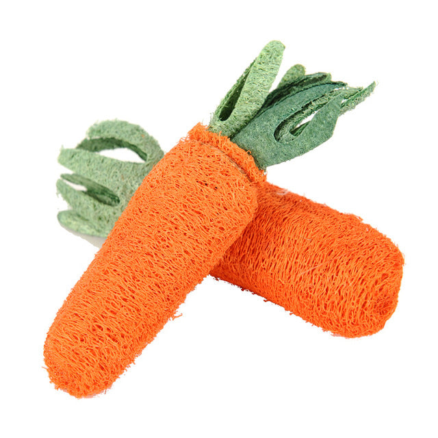 Pets Carrot Shaped Loofah Sponge Chew Toy - pets toy - 99fab.com
