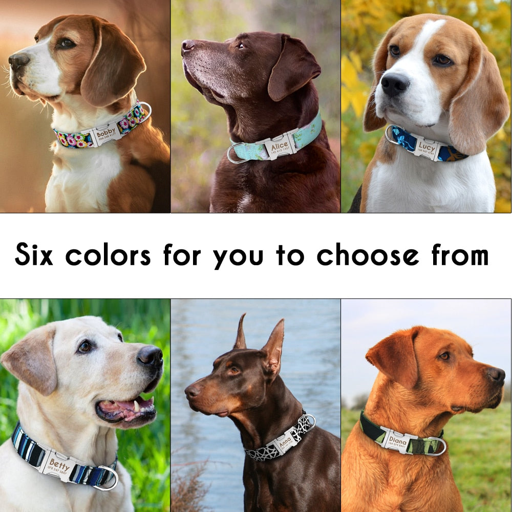 Personalized Nylon Pet Dog Tag Collar free Engraved - dog collar - 99fab.com