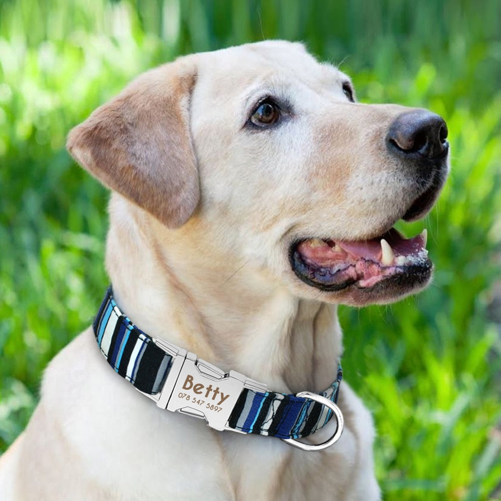 Personalized Nylon Pet Dog Tag Collar free Engraved - dog collar - 99fab.com