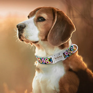 Personalized Nylon Pet Dog Tag Collar free Engraved - dog collar - 99fab.com