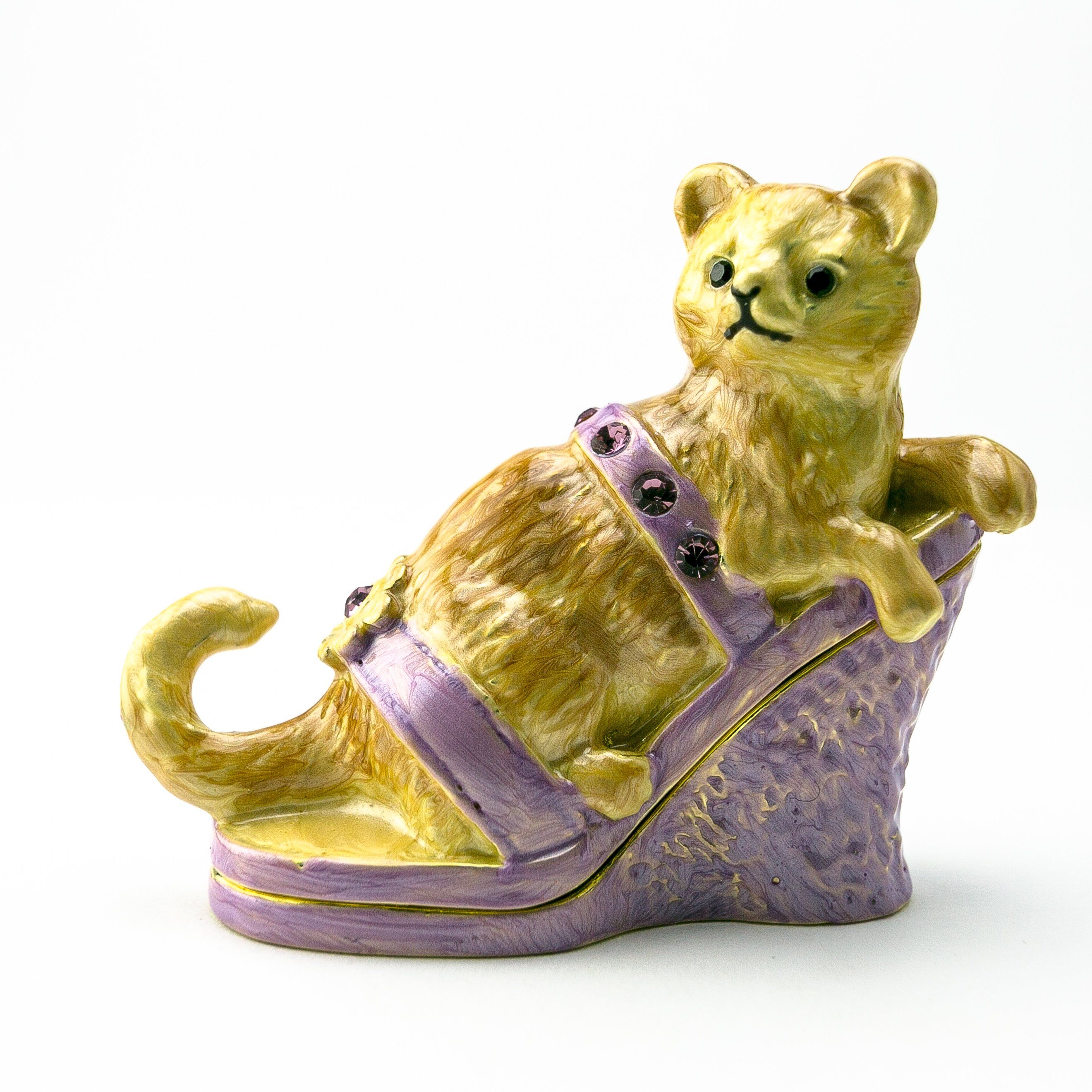 Cat sitting on an Evening Shoe