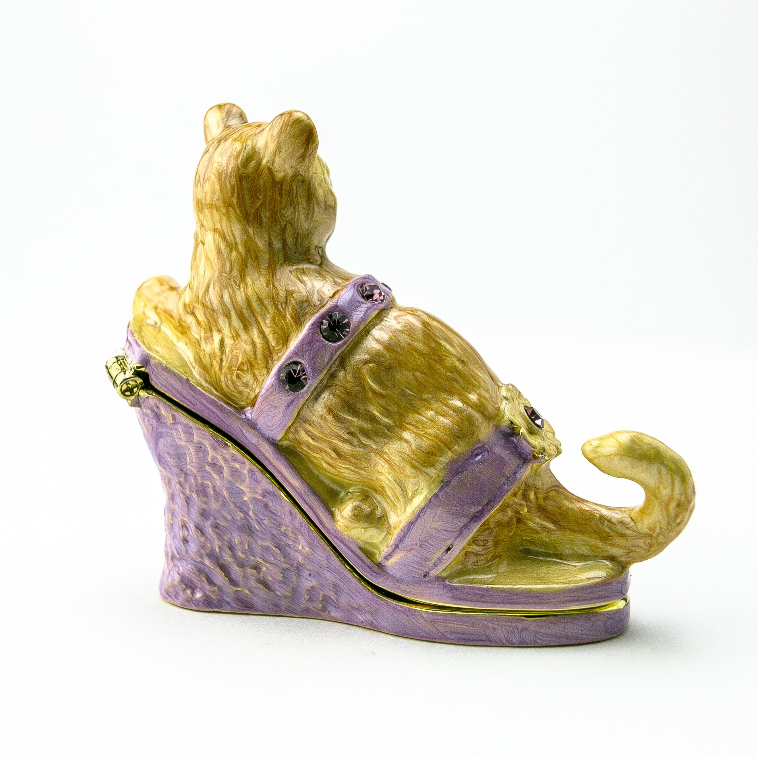 Cat sitting on an Evening Shoe